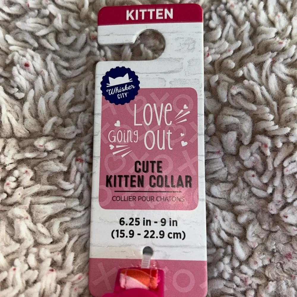 Whisker City Love Going Out Striped Bow Kitten Collar